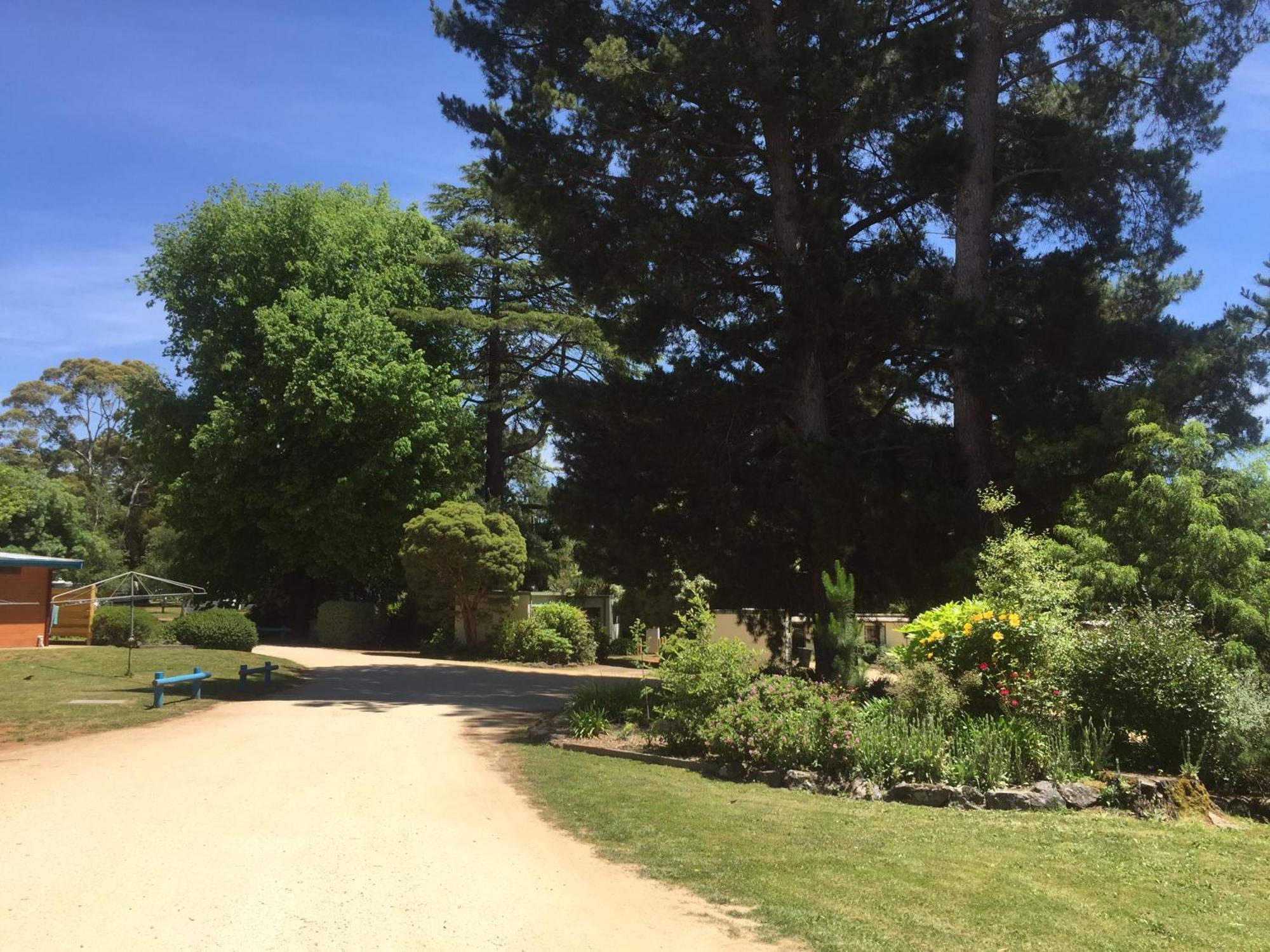Daylesford Holiday Park エクステリア 写真