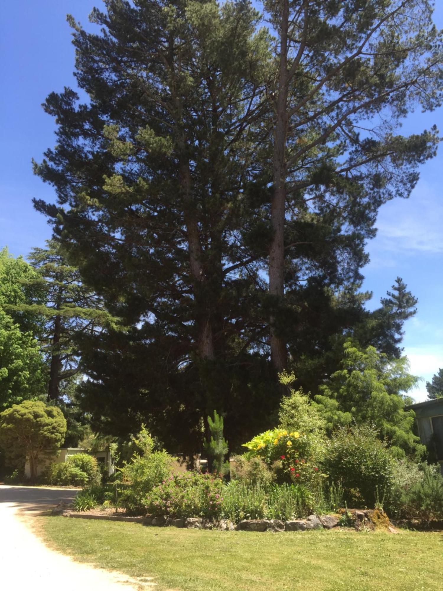 Daylesford Holiday Park エクステリア 写真